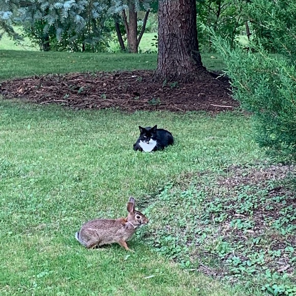 Meet your Posher, Krista - Picture 1 of 1